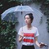Hand-Painted Transparent Umbrella for Adults & Kids - Extra Large & Durable