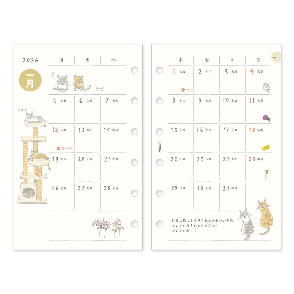 Midori 2026 Planner Refill, B7, Weekly, Cat Pattern, 27918006 (Starts January 2026)