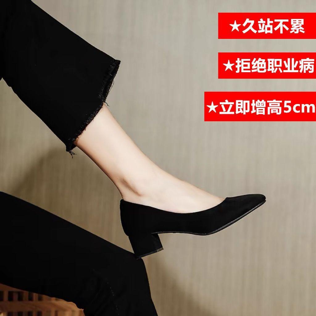 Thick Heel Interview Women's Shoes 2025 New Black Vocational Work Medium Heel Single Shoes Student Civil Servant Formal High Heels