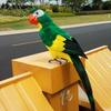 Multicolor Artificial Bird Model Foam Garden Decorative Bird Simulation Parrot  Garden Ornament