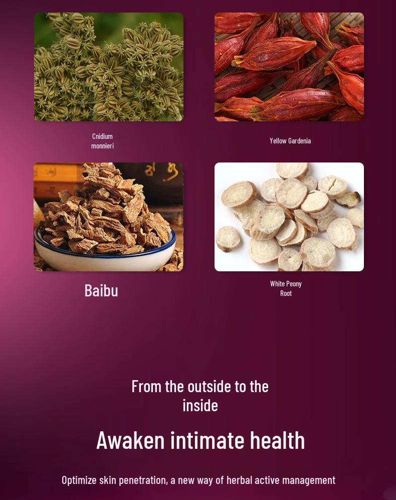 Absorventes Hidratantes Antibacterianos à Base de Ervas Snow Lotus para Higiene Íntima Feminina