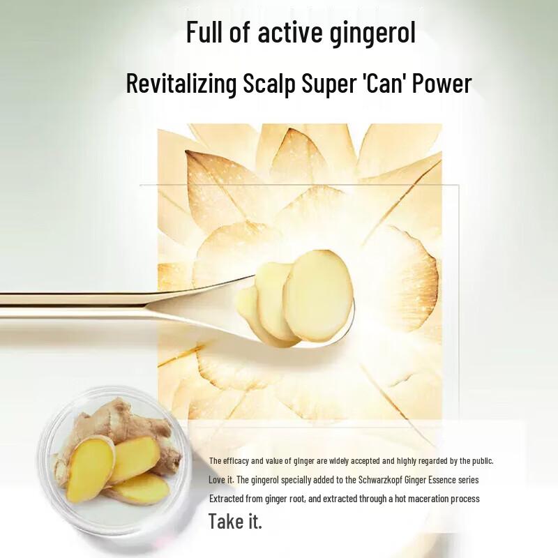Schwarzkopf Ginger Essence Oil Control Shampoo