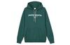 Sweatshirts Men's Green Hooded Moderate Other 623442-43