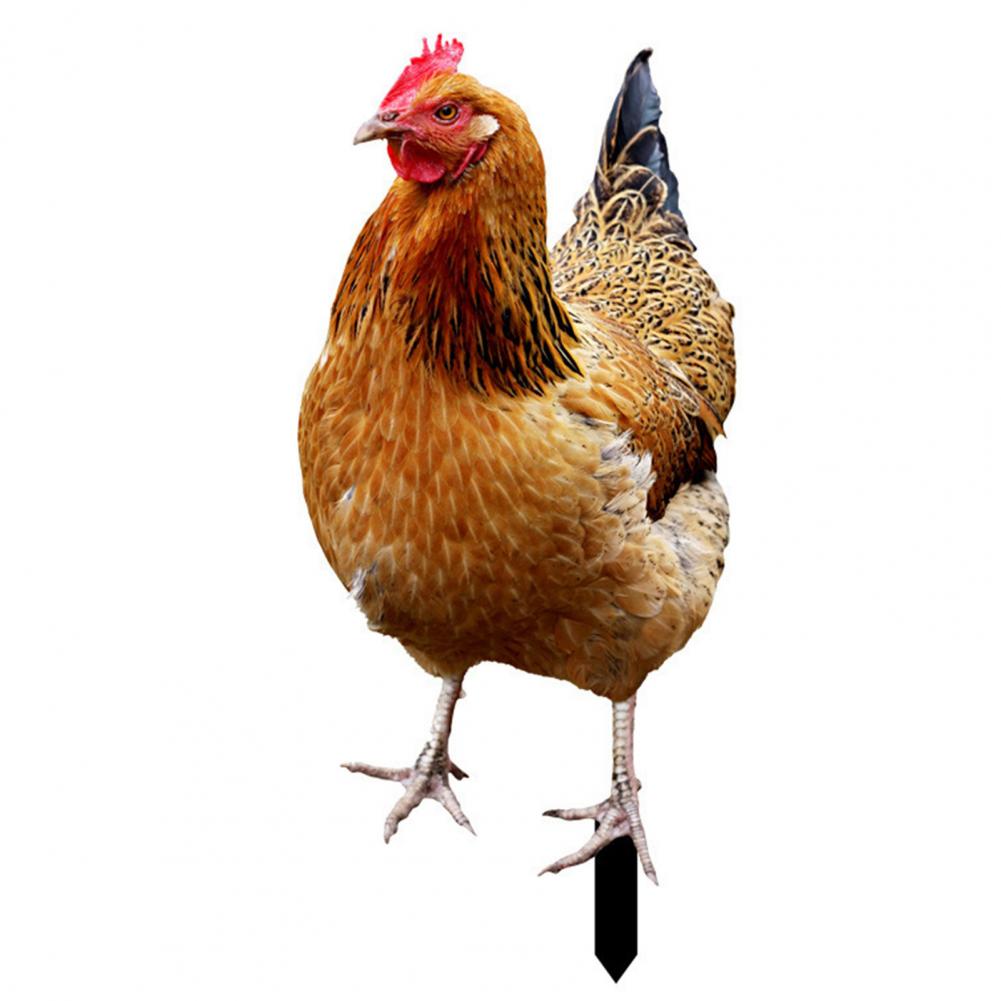 Ornamental Eco-friendly Rooster Decor Garden Statue Chicken for Garden