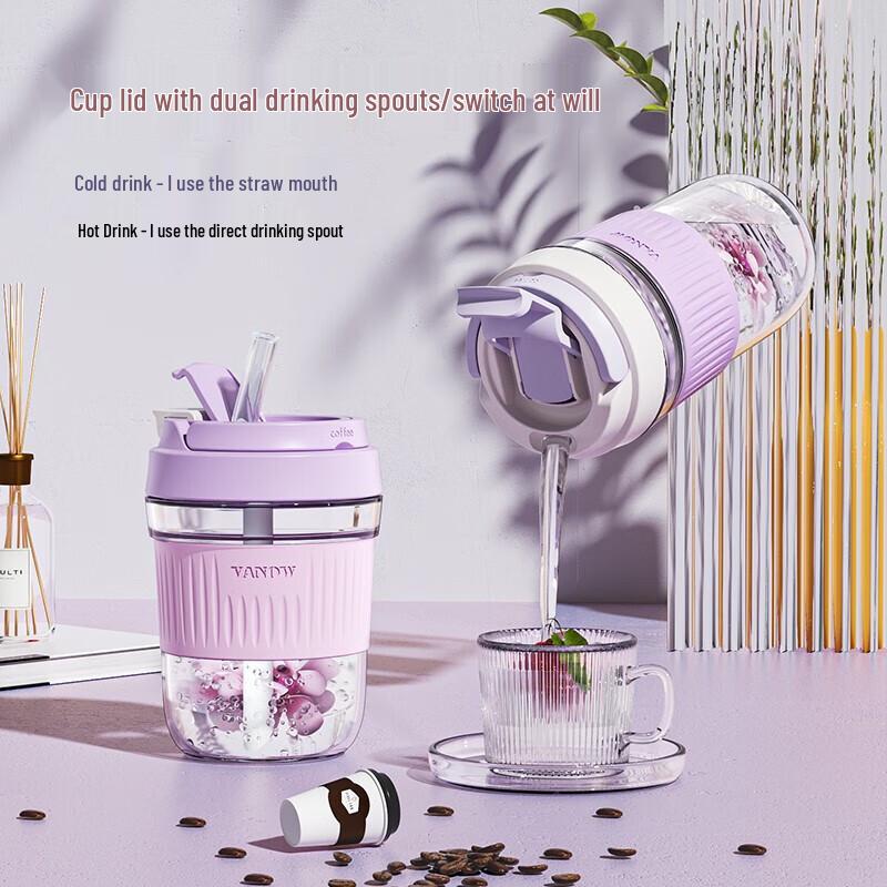 Vanow Borosilicate Glass Tumbler with Straw