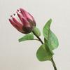 High-end Feel Moisturizing Emperor Flower Simulation Flower Home Decoration Fake Flower Ornament Photography Props