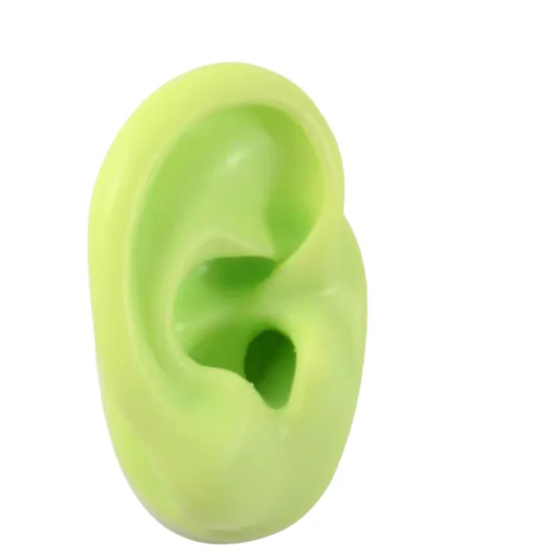 5D Silicone Simulated Artificial Ear Model Ear Stud Piercing Piercing Piercing Teaching Hearing Aid Acupuncture Practice Prop