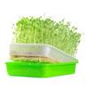Hydroponic Sprouting Kit