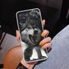 Angry Animal Wolf Fierce Phone Case For Samsung Galaxy A52 A32 A22 A12 A51 A31 A50S A30S A20S A10S Note 20 Ultra 10 Plus S10 A72