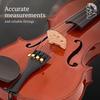 STENTOR SV-120 4/4 Violin Set [Reliable Japanese Manufacturer]