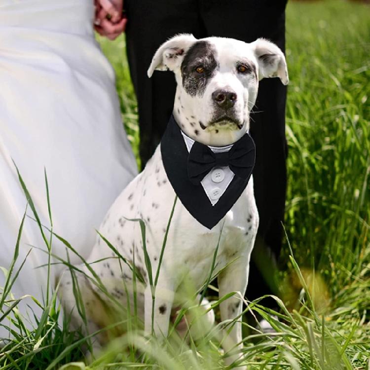 Elegant Cat Wedding Collar with Bow Tie Pet Puppy Collars Photograph Props