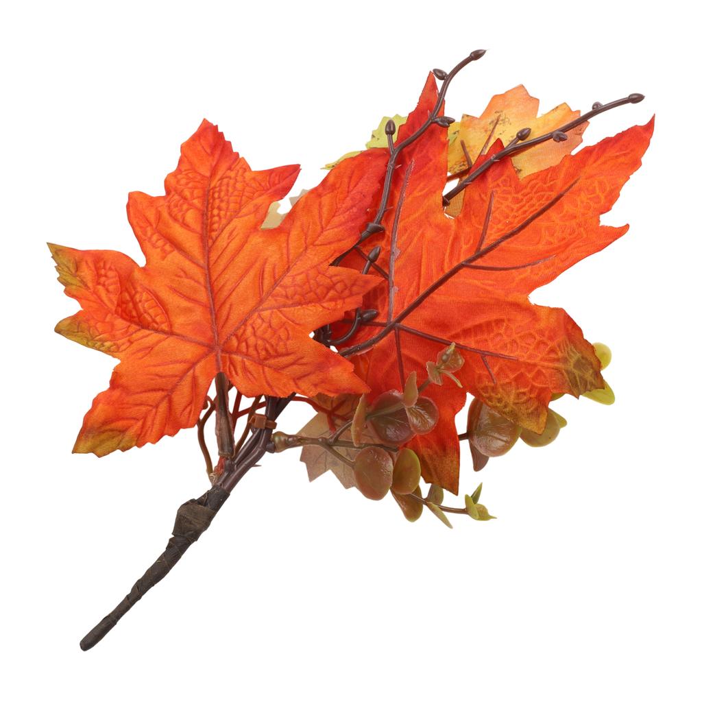 Maple Leaves Branch Home Décor Maple Sketch Brand New
