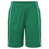 James and Nicholson Childrens/Kids Basic Team Shorts