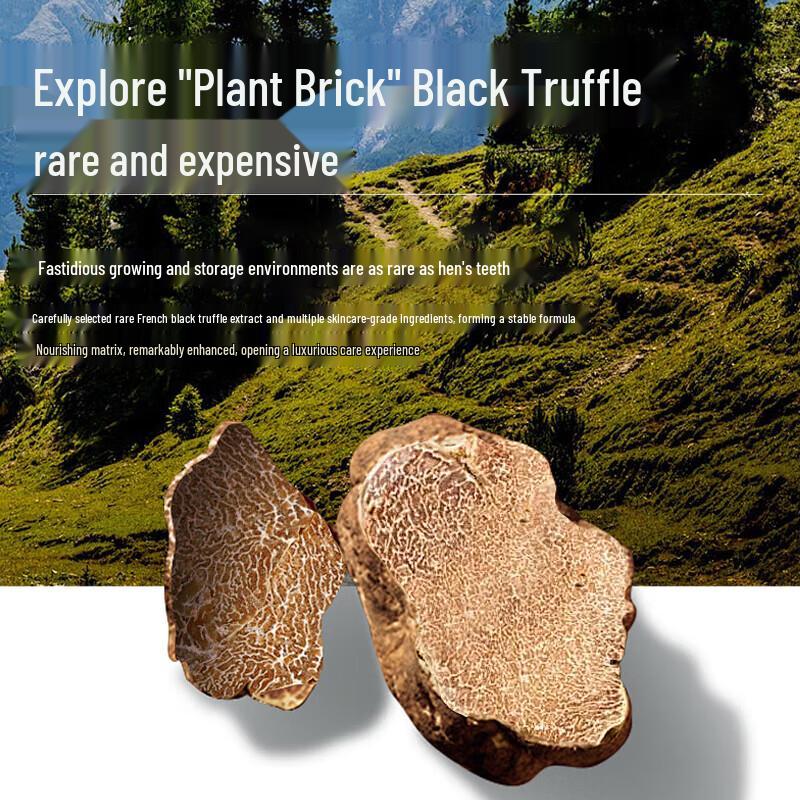 SETERRON Amino Acid Anti-Dandruff Shampoo