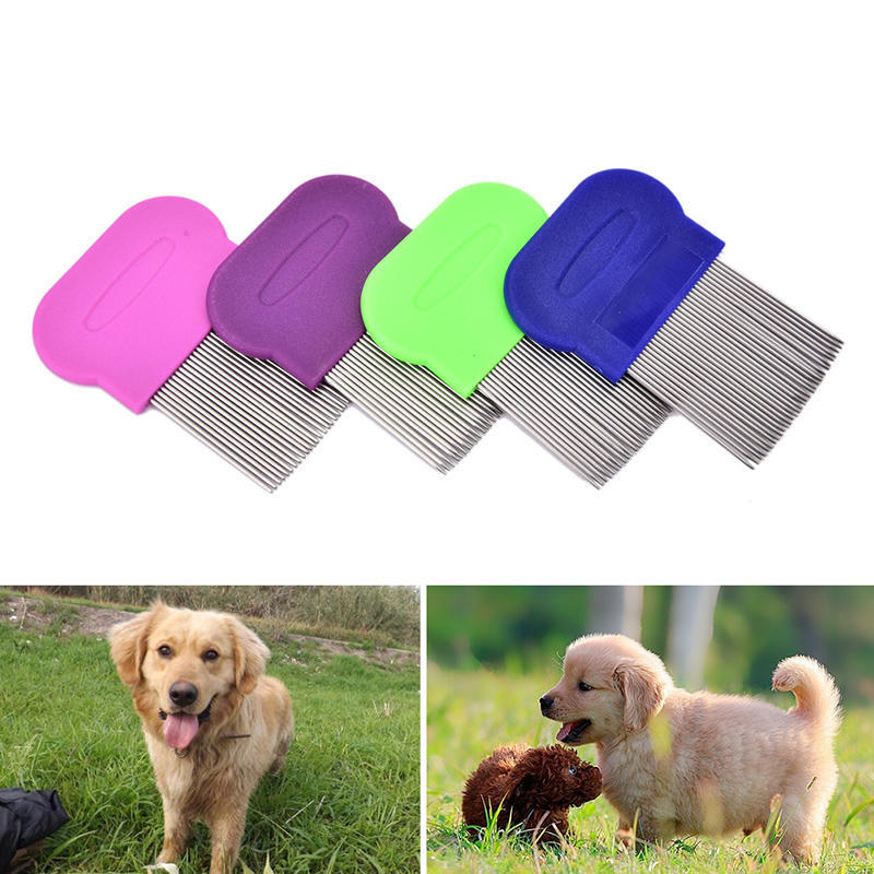 Anoplura Flea Comb Cootie Stainless Steel Lice Comb For Children Flea Combs