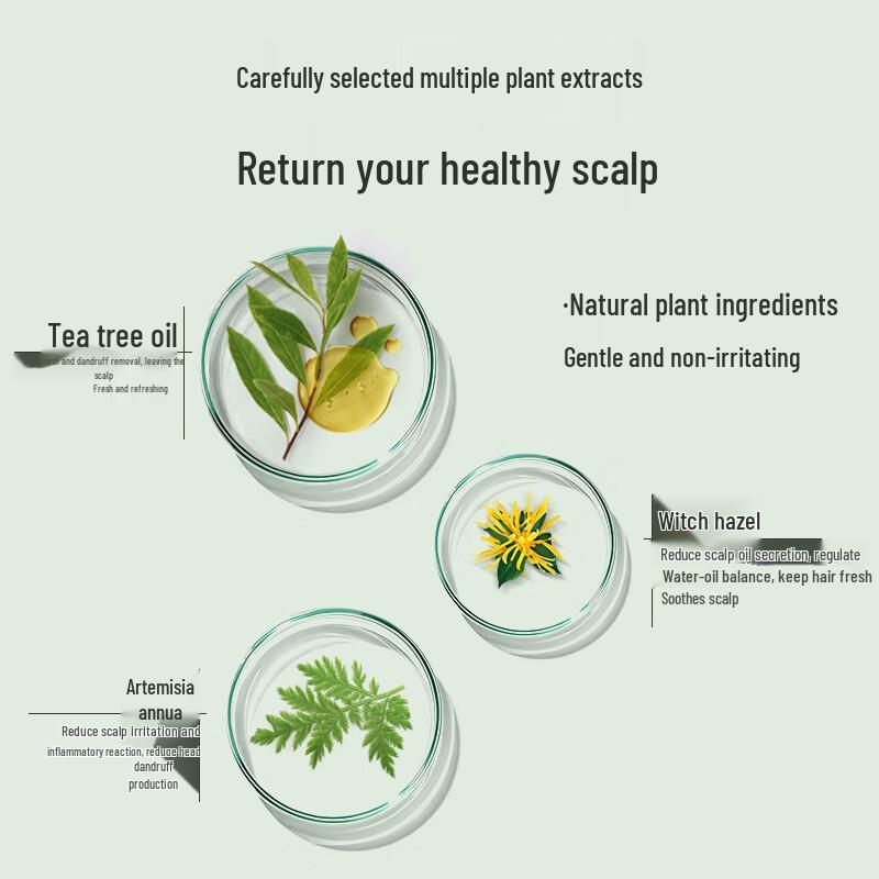 SURE Tea Tree Oil Control Shampoo & Shower Gel Set