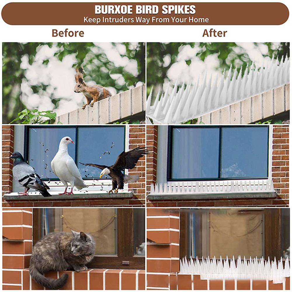 10Pcs White Spikes Repeller Cat Plastic Bird Repellent Anti Pigeon Anti-bird Squirrel Garden Fences Control Transparent Spikes