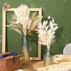 50Pcs Fluffy Bunny Rabbit Tail Grass Dried Flowers Bouquet Wedding Christmas Decor Natural Pampas Boho Home Autumn Decoration