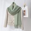 Double-Sided Solid Color Imitation Cashmere Scarf with Tassels – Cozy Korean Autumn/Winter Fashion for Students