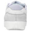 Nike Sb Force 58 Wolf Grey Slate Blue IH0636-141
