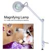 8X Illuminated Desktop Magnifying LED Lamp with Clamp Swivel Arm Reading Medical Beauty