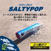 DAIWA Seabass Lure Salty Pop 110F Matte Chart