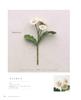 ECO VITA Crochet Elegant Flower Encyclopedia (applemints)
