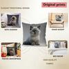 Cute Siamese & British Shorthair Cat Throw Pattern Cushion Cover Suitable For Sofa Bedroom Car Pillow Cover