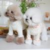 Dog Autumn Winter Flower Undershirt Home Pet T-shirt Clothes Pet Cute Lace Teddy Puppy Clothes Dog Sweater for Small Dogs