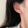 Trendy U-Shaped Horseshoe Stud Earrings: 2025 Niche Design for Women