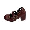 Fashion Design Cross Strap Women Mary Jane Shoes Fashion Thick Heel Shoes Autumn Ladies Outdoor Dress Stripper Leather Shoes