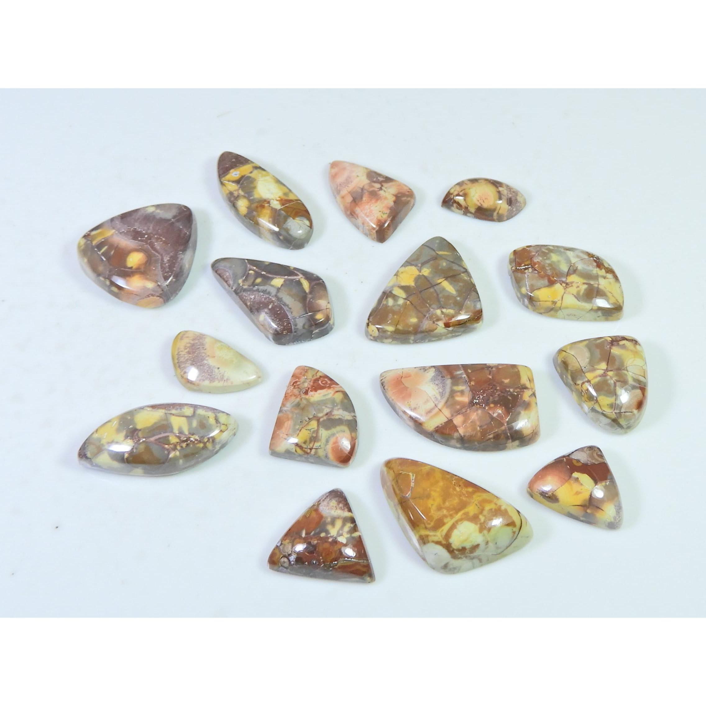 162Cts.Natural Bird Eye Jasper Fancy Shape Cabochon Loose Gemstone 15Pcs Lot C-1913