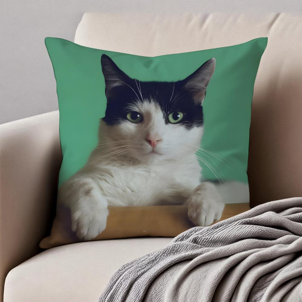 Cute Cats photograph Cushion Cover Pillowcase Antidustmite Invisible Zipper Short Plush Sofa Cushion