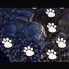 All-Weather Resistant Paw Print Outdoor Lights Solar Garden Lights