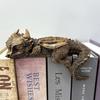 Dragon Statues Decors Animal Sculpture Collectibles Figurines Decorative Ornament Home Decors Accent Housewarming Gift
