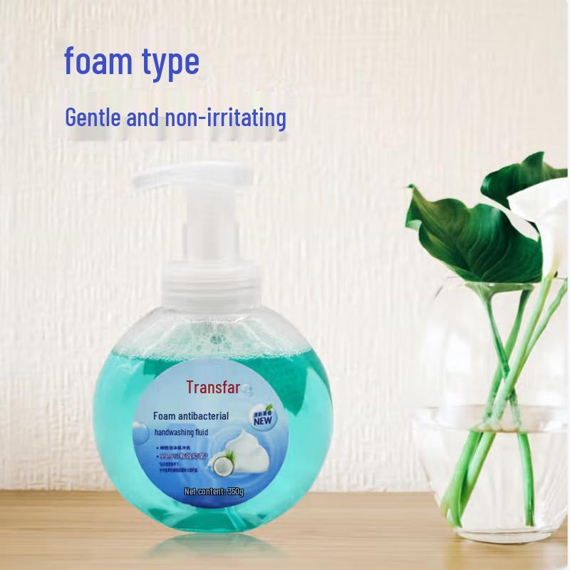 

Chuanhua Foam Antibacterial Hand Soap (6-Pack)