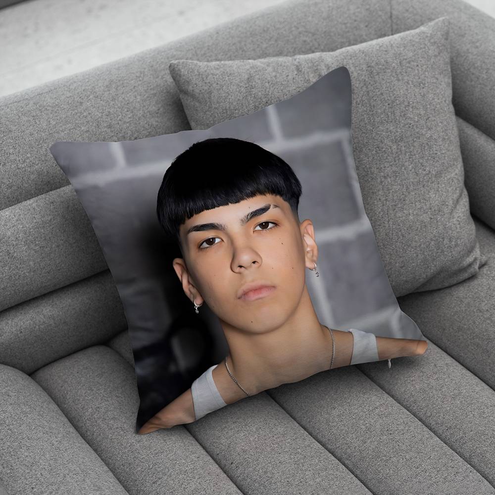 MMilo J 111 Singer pillow cover living room sofa cushion cover bedroom room bed pillow cover home decoration