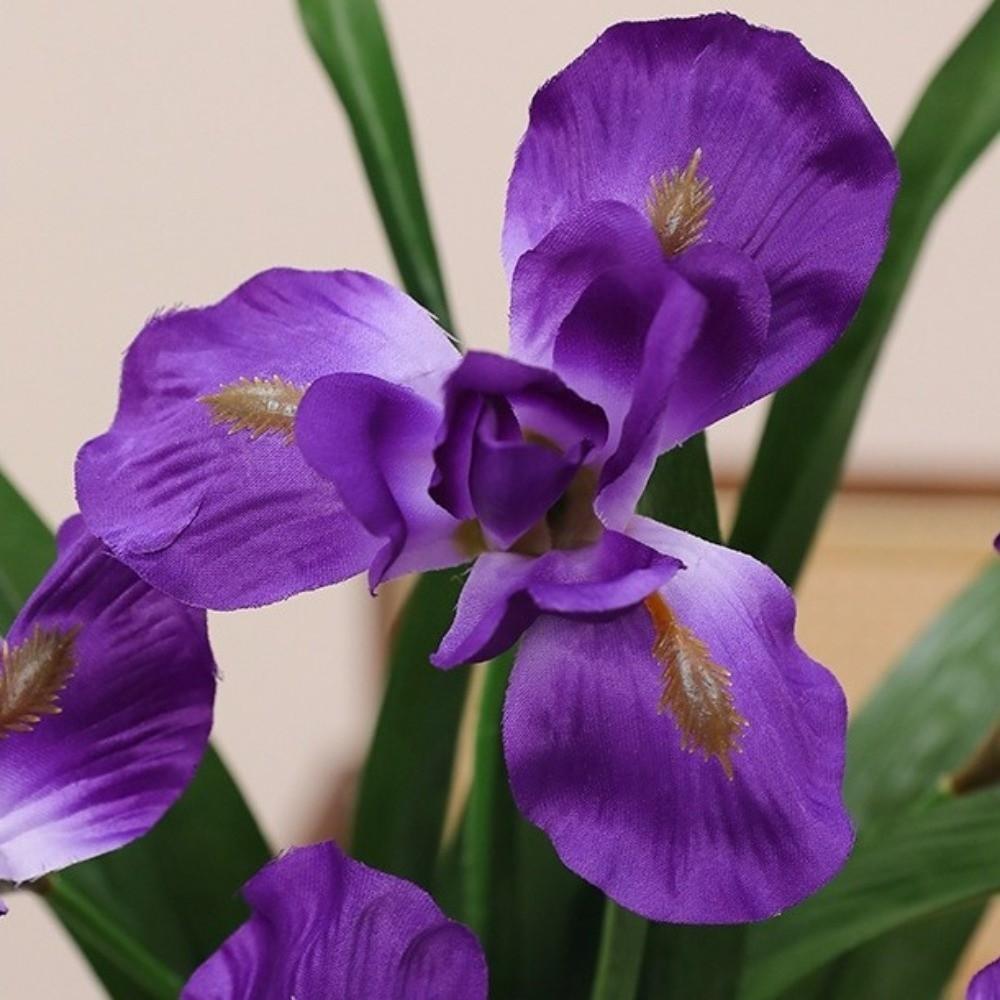 Real Touch Artificial Iris Flower Branch Realistic Cymbidium Branch Faux Flower  Living Room