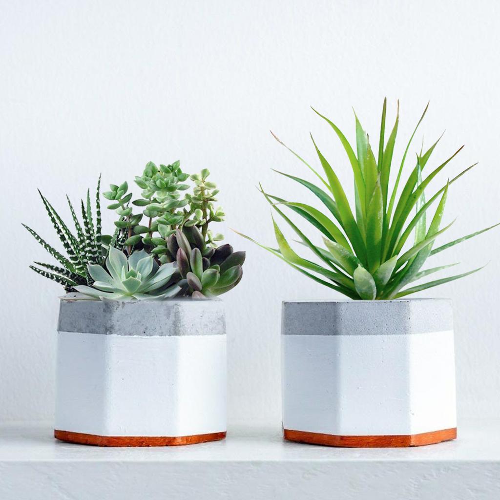 5-Pack Mini Octagon Flower Pot Silicone Molds-Small Plant Planter Pot Mold Concr