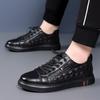 Large size 2025 new breathable canvas shoes men's trend versatile casual shoes