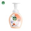 Foaming Antibacterial Hand Wash