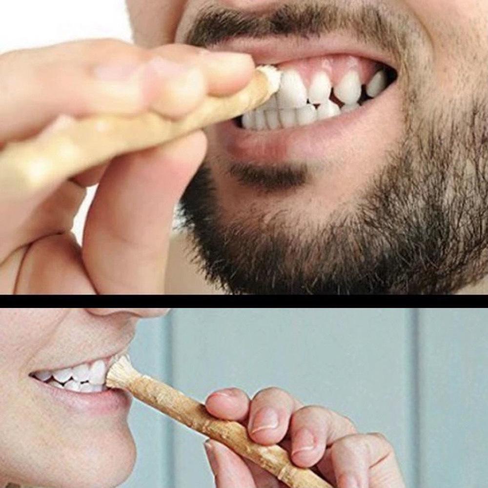 Miswak Tooth Stick: Ancient Arabian Plant Method for Cleaning Teeth