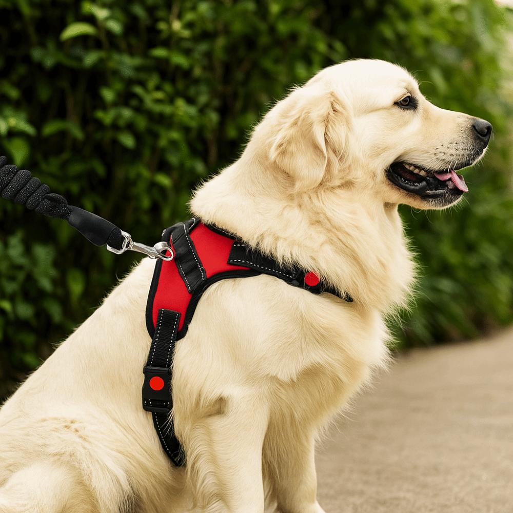 Durable Nylon Dog Cat Harness Adjustable Breathable Dog Harness Vest Heavy Duty Wear-resistant Pet Vest Outdoor
