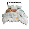 Winter Milk Fleece Bedding Set Coral Thick Sheet Duvet Cover Student Dorm