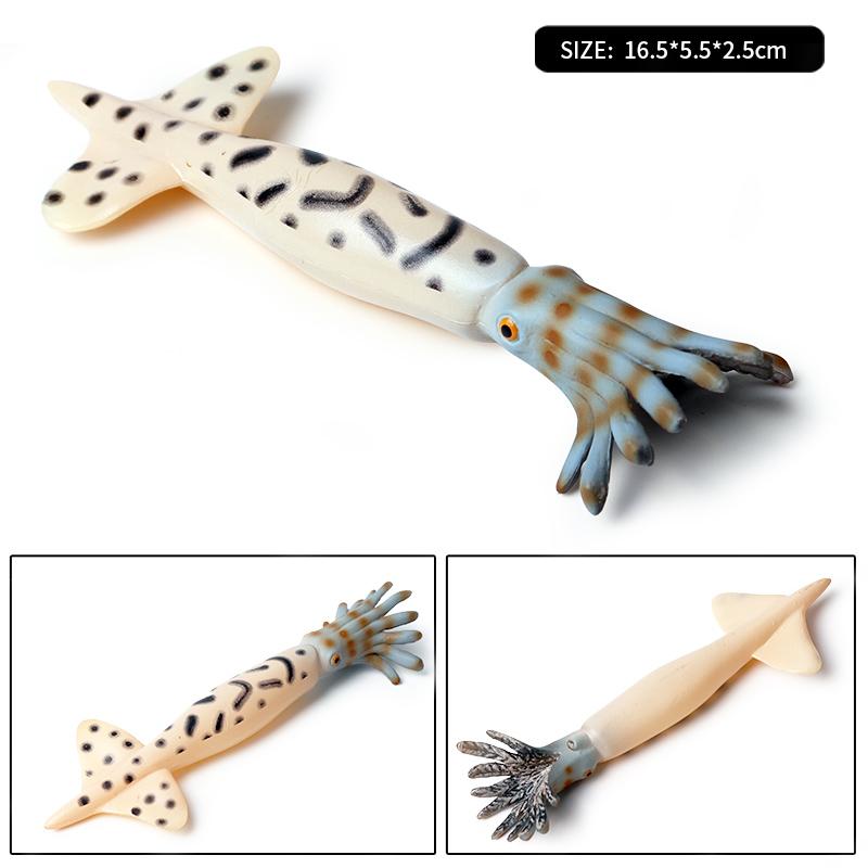 Oenux Marine Molluscs Model Simulation Squid Octopus Growth Cycle Action Figure Sealife Animals Education Collection Kids Toy