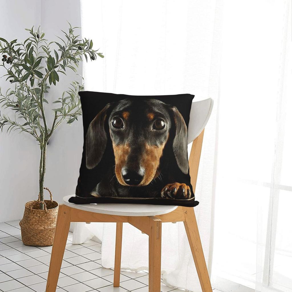 Dachshund Dog Wiener Sausage Doxie Pillowcase Polyester Cushion Cover Gift Throw Pillow Case Cover Bedroom Square 18