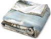 Beach Blanket Ocean View Seagull Chair Waves Coastal Decor Soft Throw Seaside Art Bedroom Textile Relaxing Home Accessory