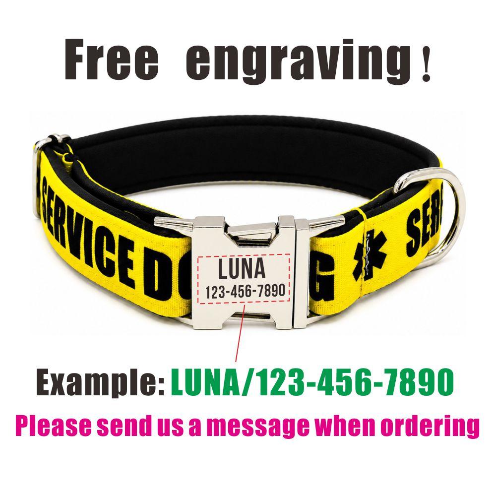 Personalized Pet Collar Custom Free Engraving Puppy Name ID Tag Adjustable Basic Service Dog Pet Collars Leash, 3 Colors