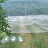 Extra Strong Anti Bird Net Nylon Garden Netting Mesh for Fruit Crop Plant Tree Reusable Protection Covers Against Bird Deer