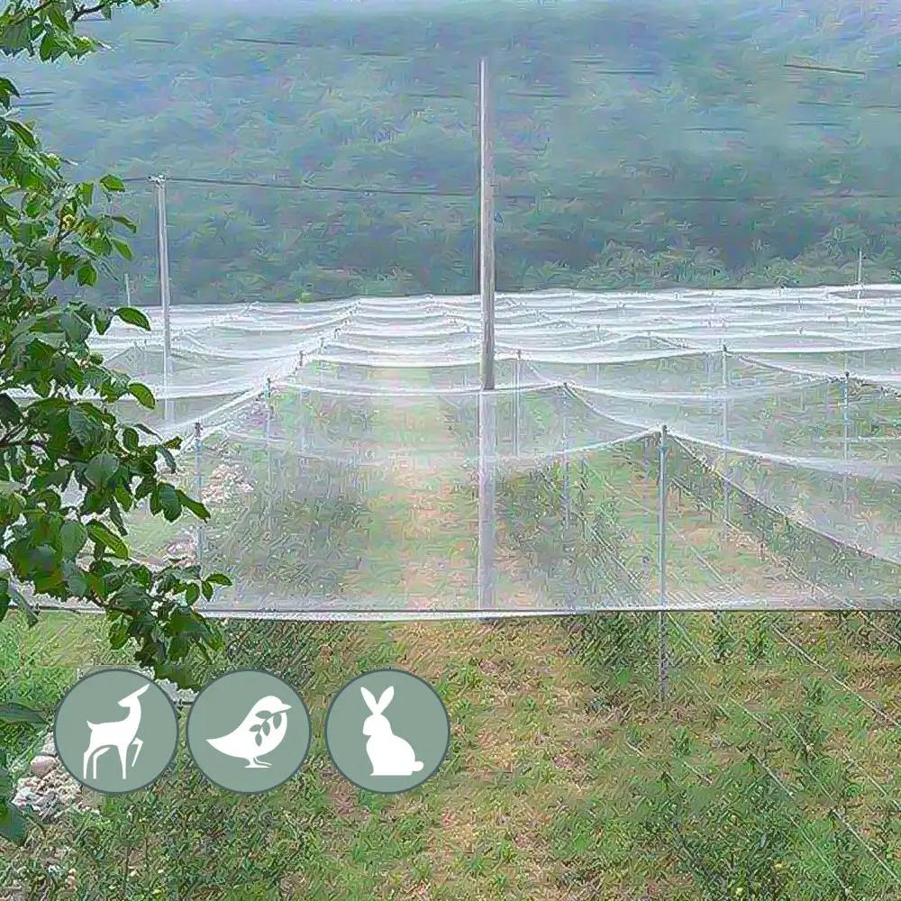 Extra Strong Anti Bird Net Nylon Garden Netting Mesh for Fruit Crop Plant Tree Reusable Protection Covers Against Bird Deer